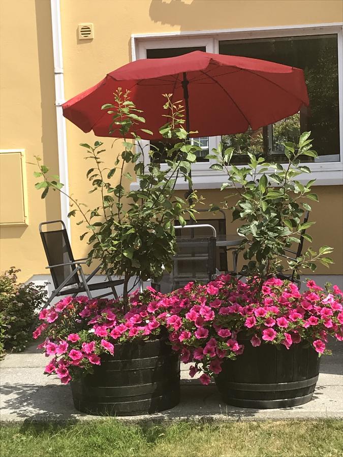 Liosderrig House B&B グレンバイ エクステリア 写真